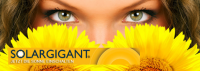 Dieses Bild zeigt das Logo des Unternehmens Solargigant GmbH
